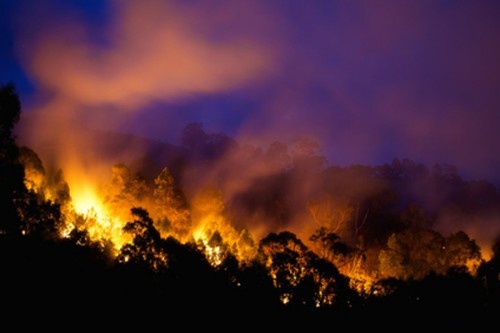 Bushfire claims one life in Australia's Victoria, state of disaster declared