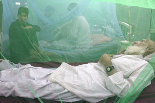 Patients in despair as doctors protest against govt in Pakistan's Rawalpindi