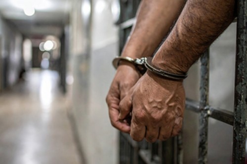 Accused in Andhra govt employee's rape remanded to judicial custody