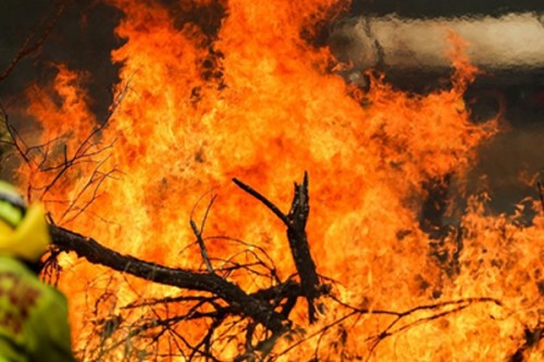 Over 30 homes damaged or destroyed by bushfire in Australia's Tasmania