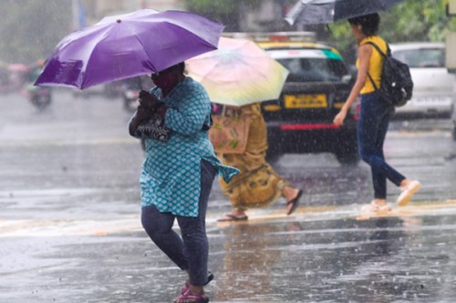 Heavy rain forecast for Maharashtra today, red alert issued in Raigad