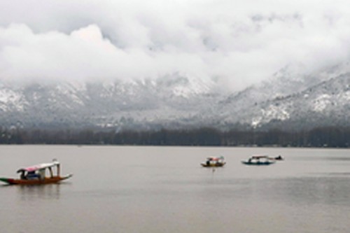 Famous Chinar boat race organised in J&K's Dal Lake