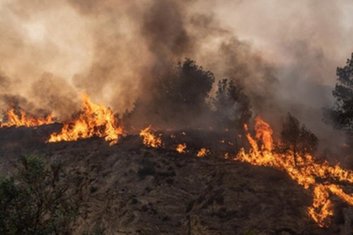 Firefighter dies as forest fire rages in Turkey