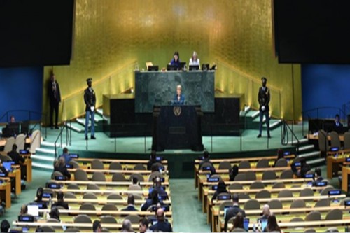 UN holds high-level special event on climate action