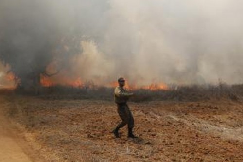 Israeli soldier killed in Gaza