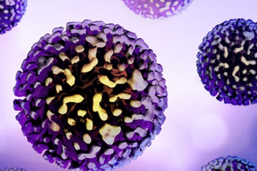 Czech Republic reports sharp rise in hepatitis-A cases