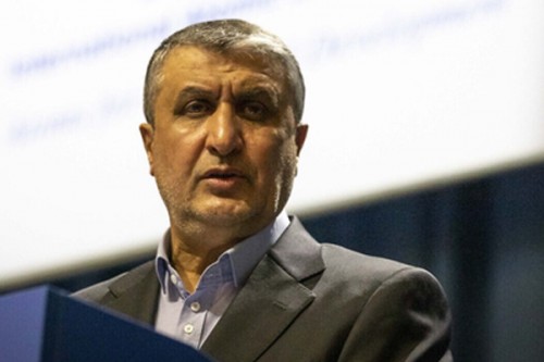 Russia to build eight nuclear plants in Iran: Atomic chief