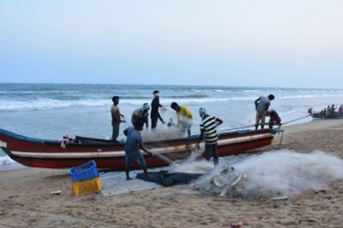 14 Indian fishermen from TN arrested by Sri Lankan Navy