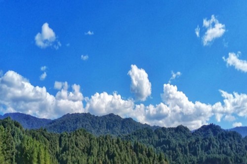 New Zealand greenhouse gas emissions fall 1.5 per cent in Q2