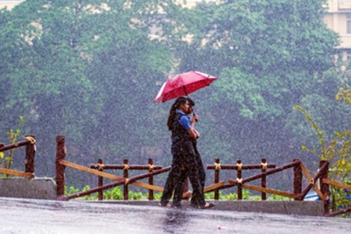 Heavy rain lashes Kerala, weather alerts issued in some areas