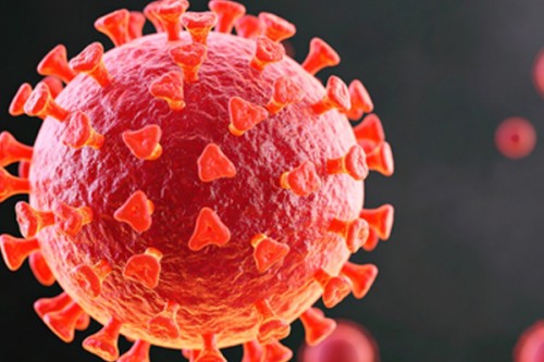 Covid during pregnancy may raise autism, motor disorder risk in kids by age 3