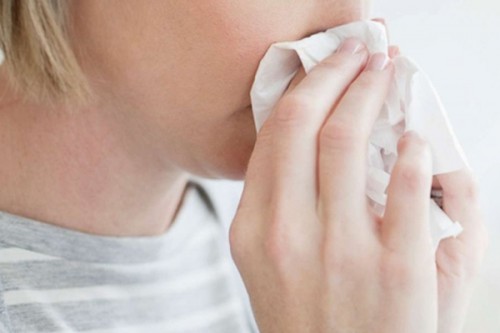 Bulgaria's third region declares flu epidemic