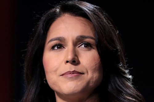 Tulsi Gabbard 'open' to talks on running as Trump's mate, discusses foreign policy