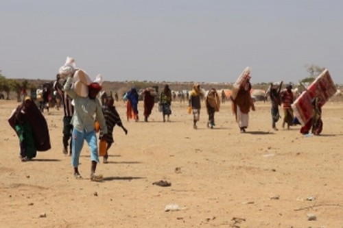 Over 3.4 mn internally displaced in Somalia: IOM
