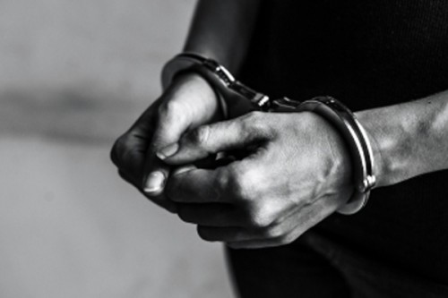 Terror plot foiled, two arrested in Andhra and Telangana