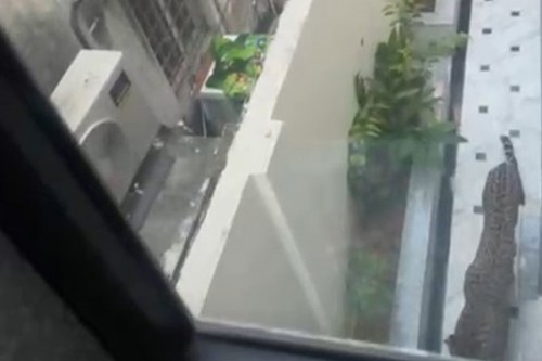 Leopard spotted again in Jaipur; locals in fear as forest officials continue search