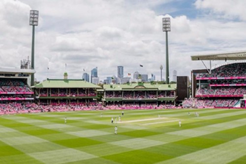 Ashes: Happy with the colour of the pitch at the moment, says SCG curator