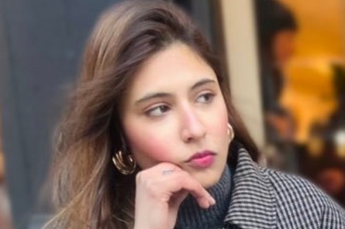 India-EU FTA likely pushed US to make trade deal: South Asia expert