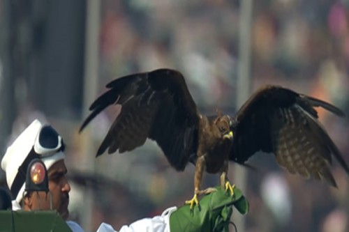 Republic Day: Indian Army showcases four-legged warriors in a historic first
