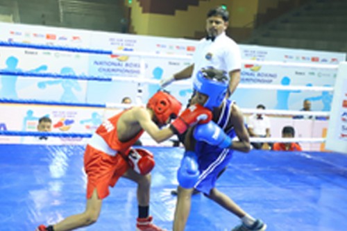 Sub Jr. Nationals: 15 Haryana boxers enter quarterfinals