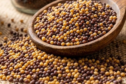 Haryana expected to see 13.17 lakh metric tons mustard