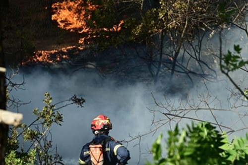 Wildfires rage across Greece, triggering mass evacuations