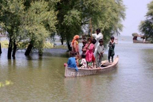 Floods leave 56 dead, millions displaced across Pakistan's Punjab