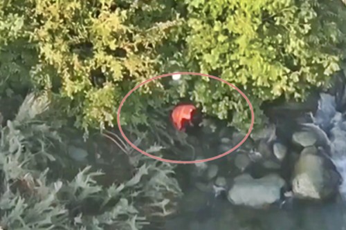 Kulgam man jumps into river, drowns; video surfaces as NC, PDP leaders cry foul