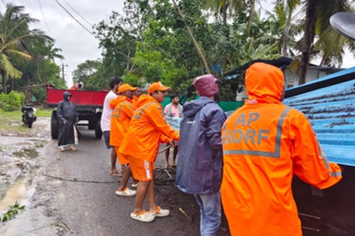 Relief, restoration works in full swing in cyclone-hit Andhra Pradesh