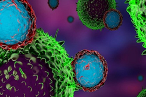 Scientists focus on a new antibody to fight treatment-resistant cancers 