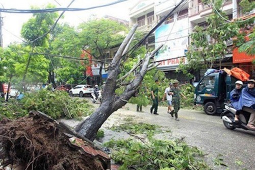 Typhoon Kalmaegi leaves five dead in central Vietnam
