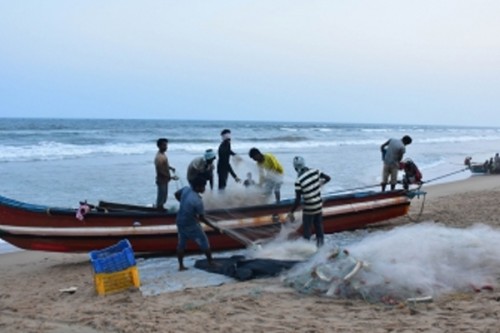 14 TN fishermen arrested by Sri Lankan Navy
