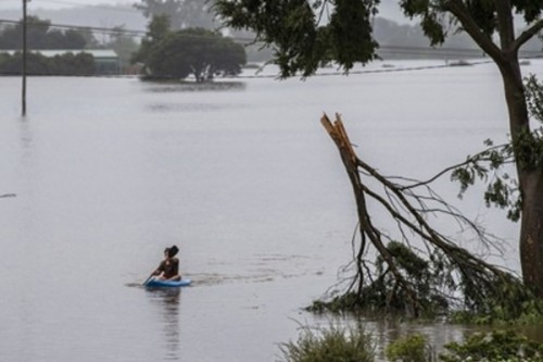 Police divers join search for woman missing in Sydney floods
