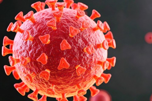 Covid-19 virus protein triggers immune attack on healthy cells: Study