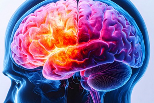 UK study identifies 8 new schizophrenia genes