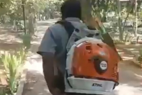 Chennai steps up dengue prevention measures as cases rise