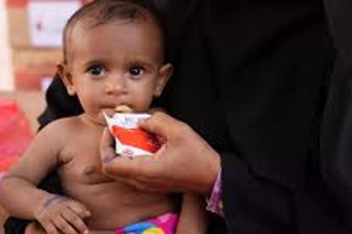 Malnutrition is 'crisis inside the crisis' in Yemen: NGO