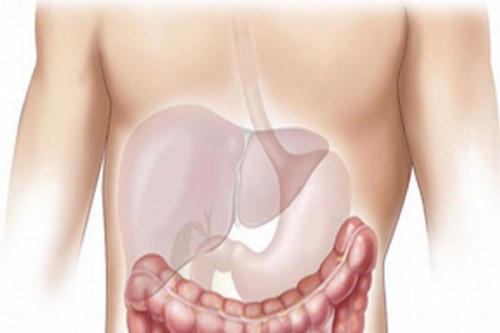 World Liver Day: Fix food habits to cut liver disease risk by 50 pc