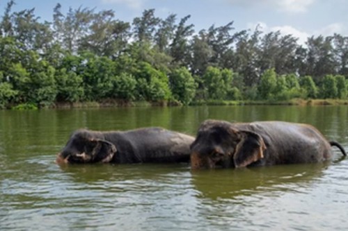 Will fully comply with SC order to appoint SIT: Vantara