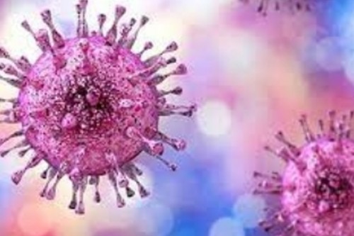 1 person globally acquires new genital herpes infection every second: WHO