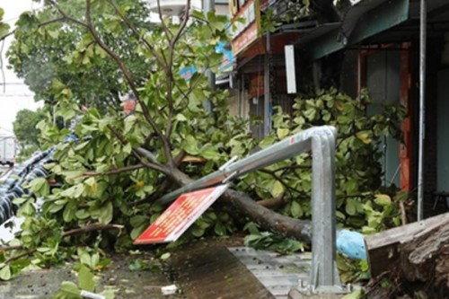 Typhoon Bualoi leaves 19 dead, 88 injured in Vietnam