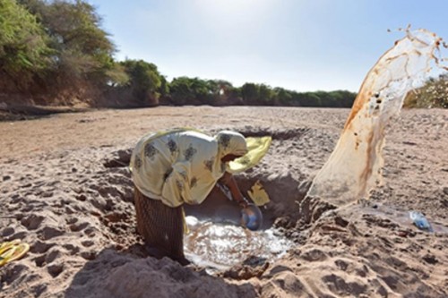 Drought continues to impact millions in Somalia: UN