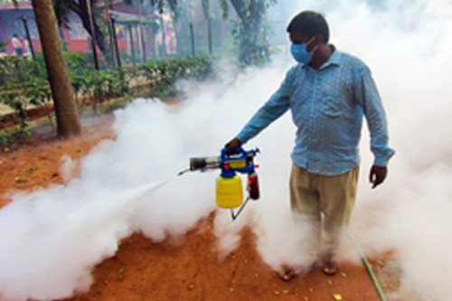 France confirms 1st locally transmitted chikungunya case in 2025