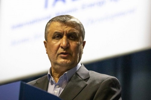 Russia to build eight nuclear plants in Iran: Atomic chief