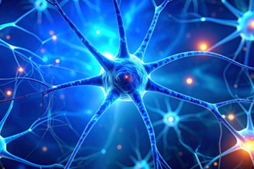 Dark chocolate, berries may help boost memory and relieve stress: Study  