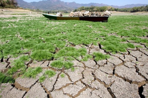 Earth's climate swings increasingly out of balance: WMO