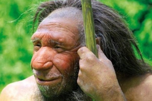 Chinese, US scientists identify gene flow of modern humans with Neanderthals