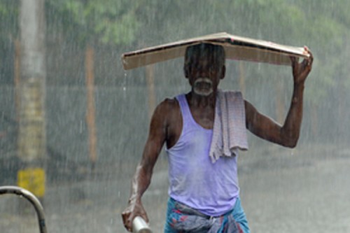 Rain likely in South TN, Western Ghats till March 1: IMD