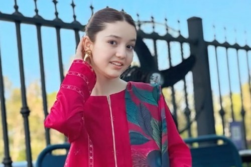 Pakistani social media influencer shot dead by relative, honour killing suspected