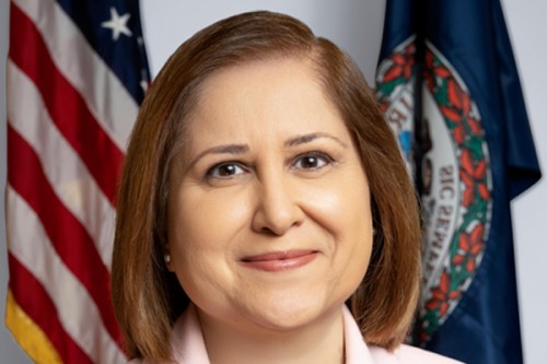 South Asian candidates make history with wins in New York, Virginia, Ohio